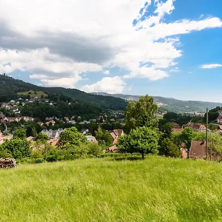 Au Petit Chamois Apartmán Breitenbach-Haut-Rhin