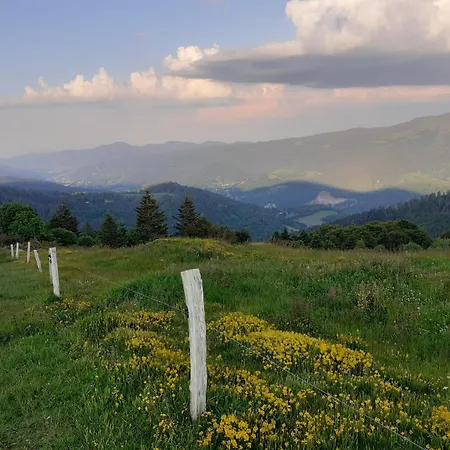 Au Petit Chamois *